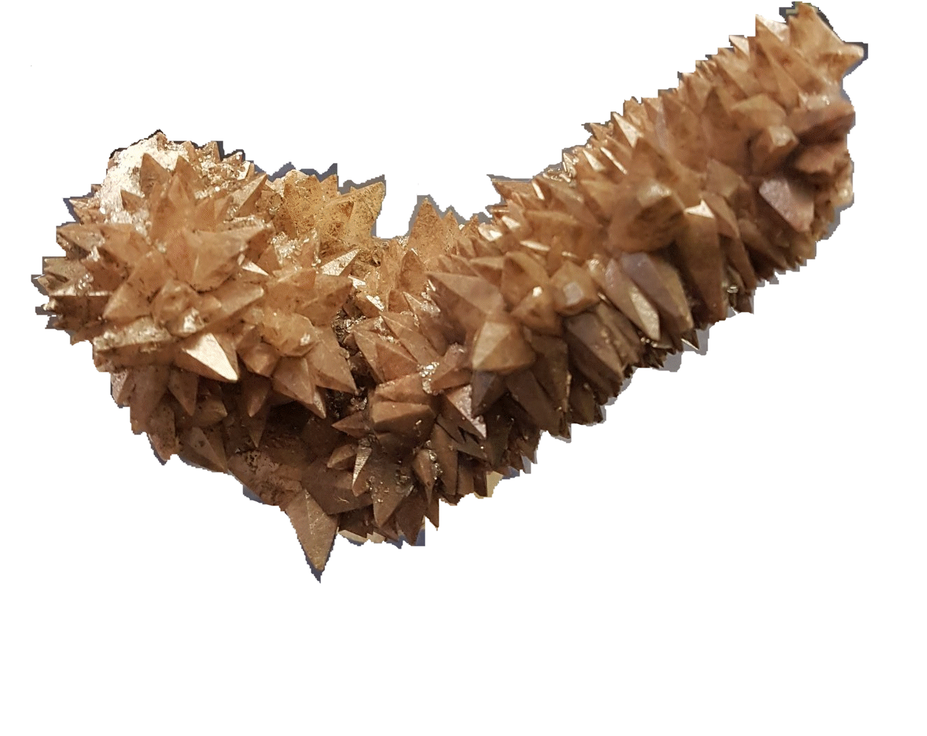 Hundezahncalcit dogtooth